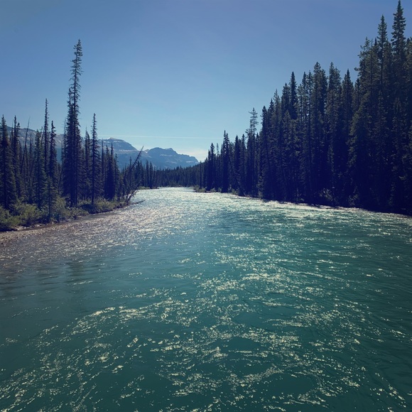 Meet your Posher, Erin - Picture 1 of 1